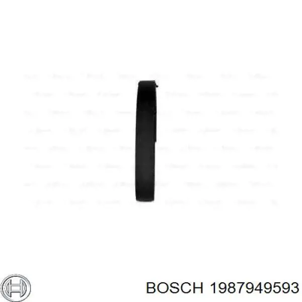 1987949593 Bosch correa distribución