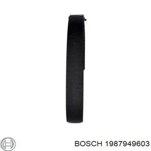 1987949603 Bosch correa distribucion