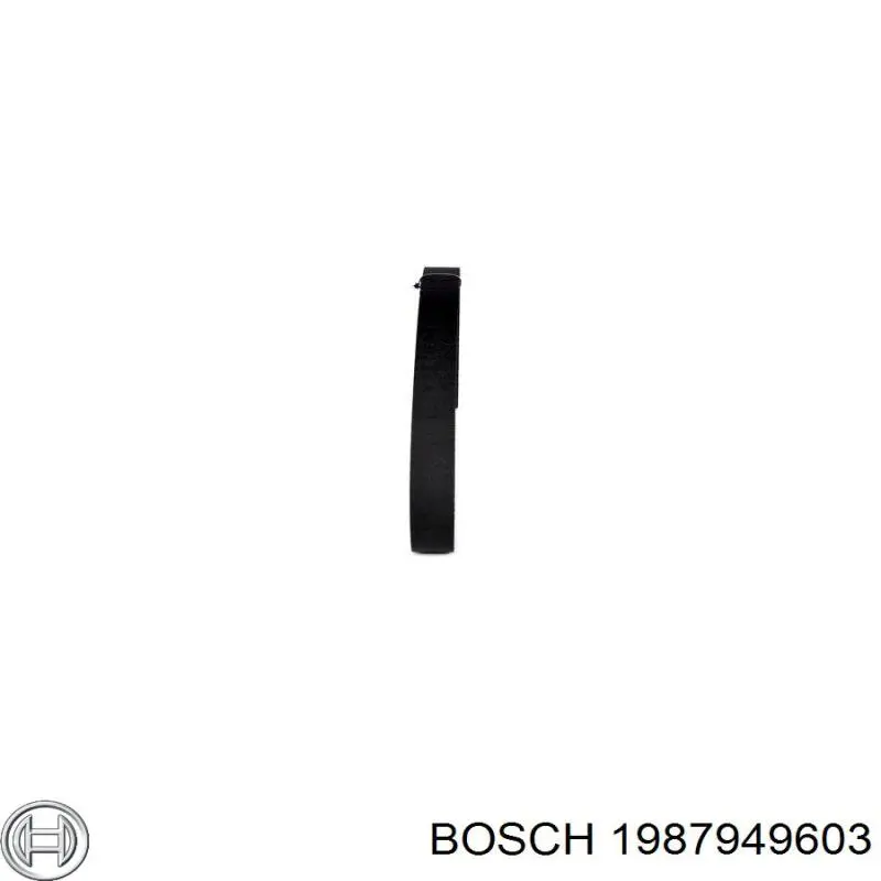 Correa distribución 1987949603 Bosch
