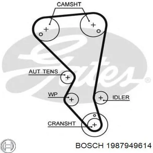 Correa distribucion Ford Fiesta JH, JD