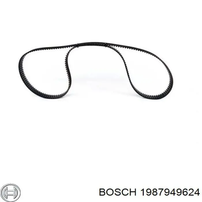 1987949624 Bosch correa distribucion