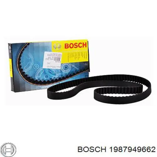 1987949662 Bosch correa distribución