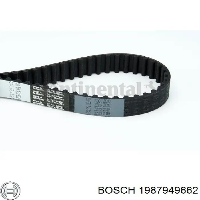 Correa distribución 1987949662 Bosch
