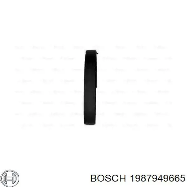1987949665 Bosch correa distribucion