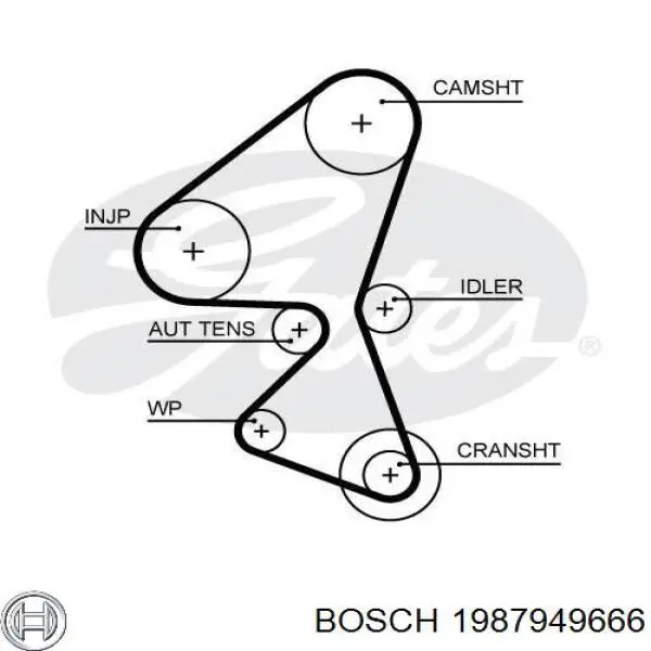 1987949666 Bosch correa distribucion