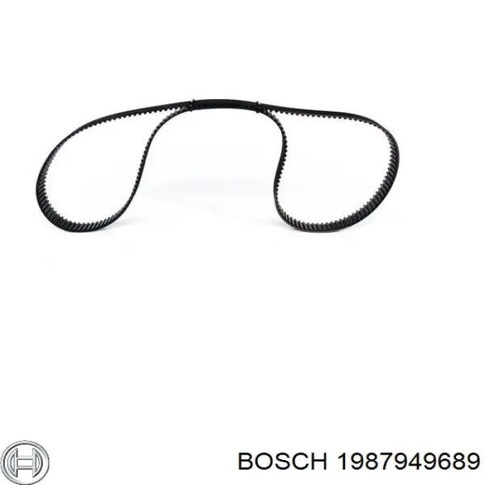 Comprar 941055 Dayco Correa distribución