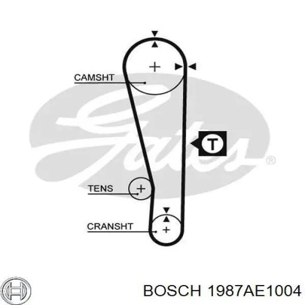 1987AE1004 Bosch correa distribucion