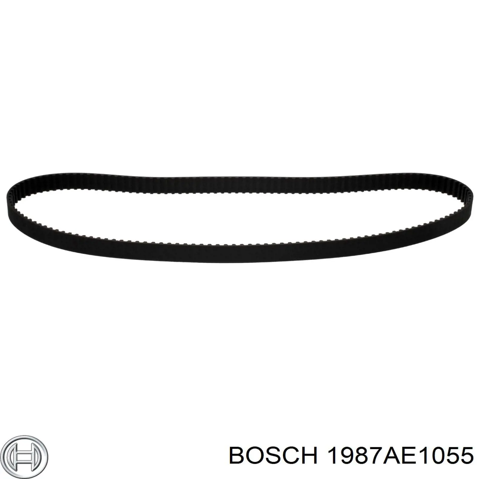 1987AE1055 Bosch correa distribucion