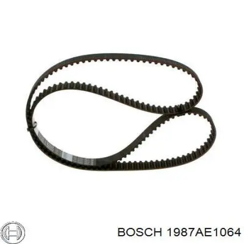 1987AE1064 Bosch correa distribucion