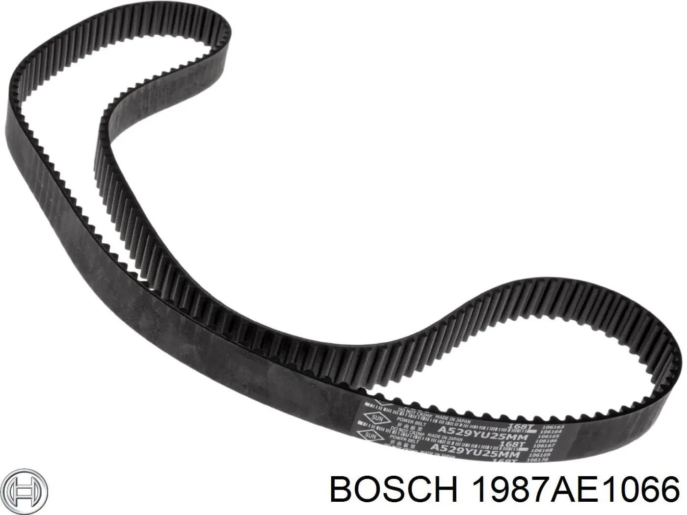 1987AE1066 Bosch correa distribucion
