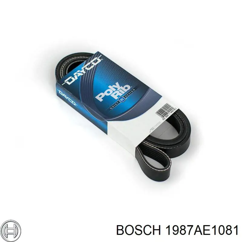 1 987 AE1 081 Bosch correa distribucion