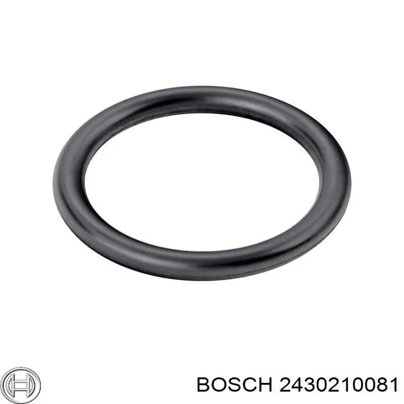 2430210081K Bosch