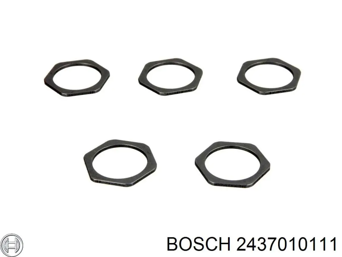 2437010111 Bosch pulverizador inyector