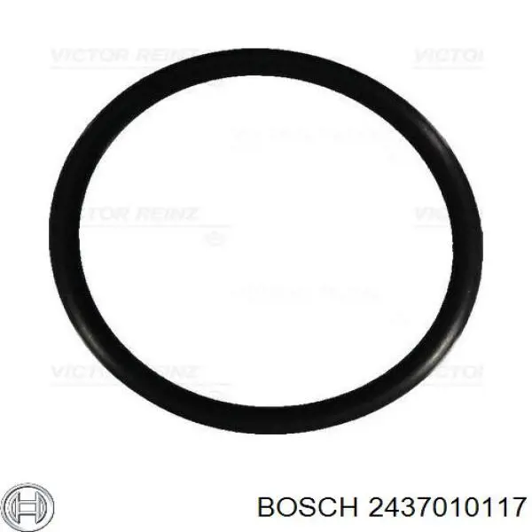 2437010117 Bosch pulverizador inyector