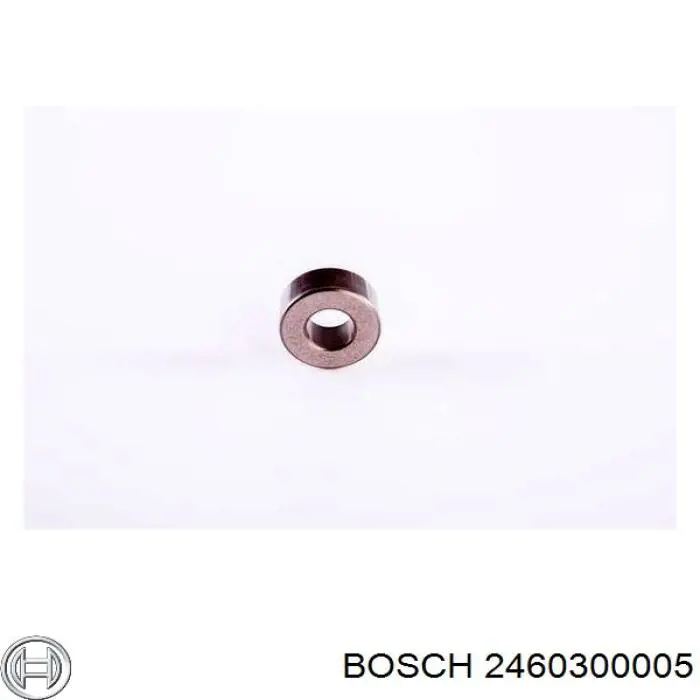 2460300005 Bosch