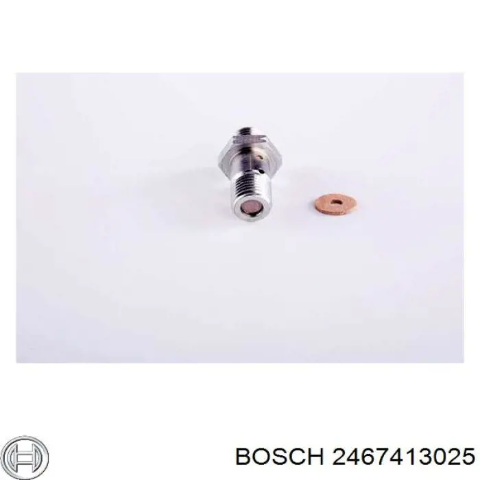 2467413025 Bosch valvula de deribacion (perno banjo)