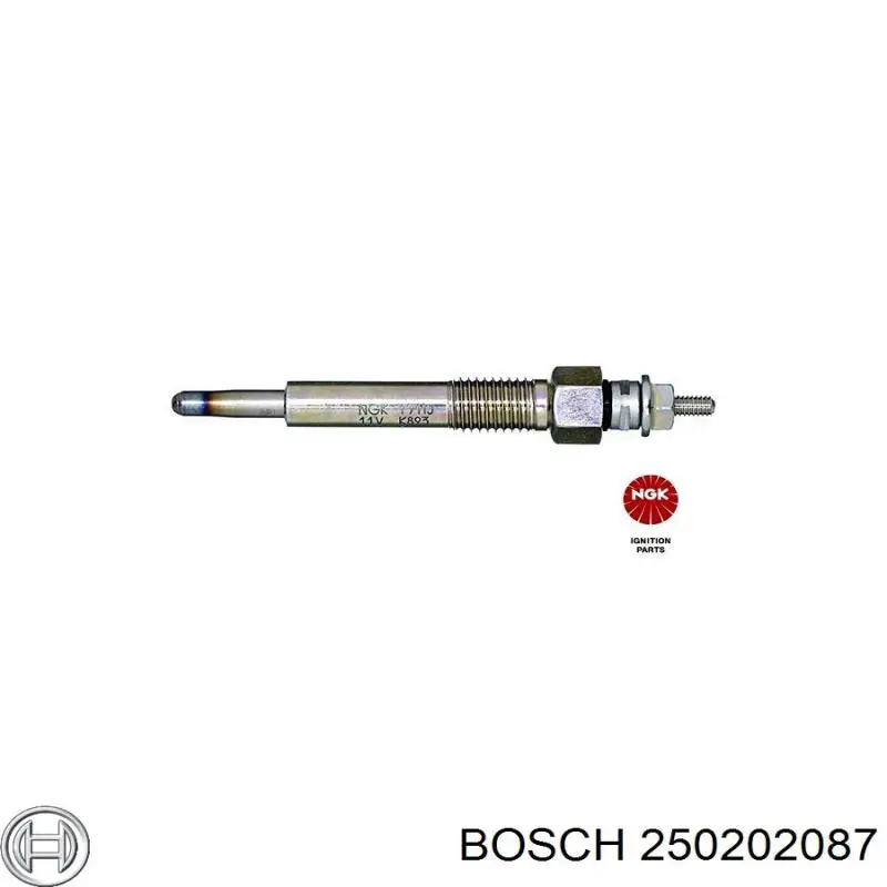 Bujías incandescentes Bosch 250202087 precio, desde 8,03 EUR