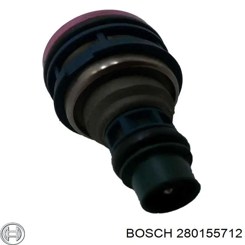 280155712 Bosch inyector