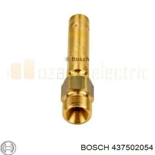 437502054 Bosch inyector de combustible