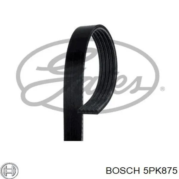 5PK875 Bosch correa trapezoidal