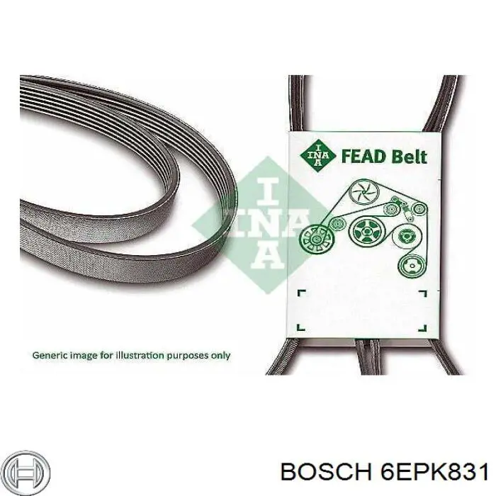 6EPK831 Bosch correa trapezoidal