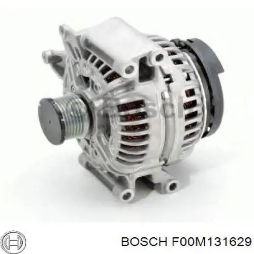 F00M131629 Bosch rotor, alternador