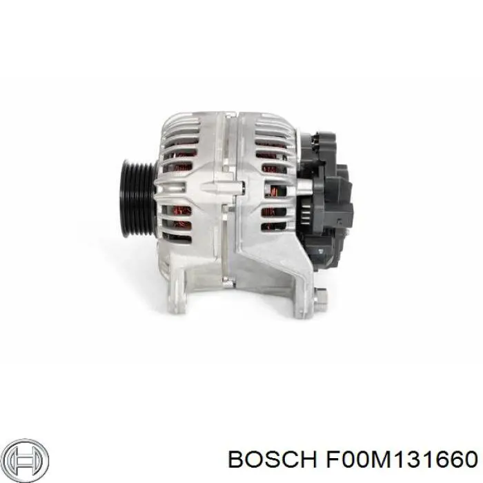 F00M131660 Bosch rotor, alternador