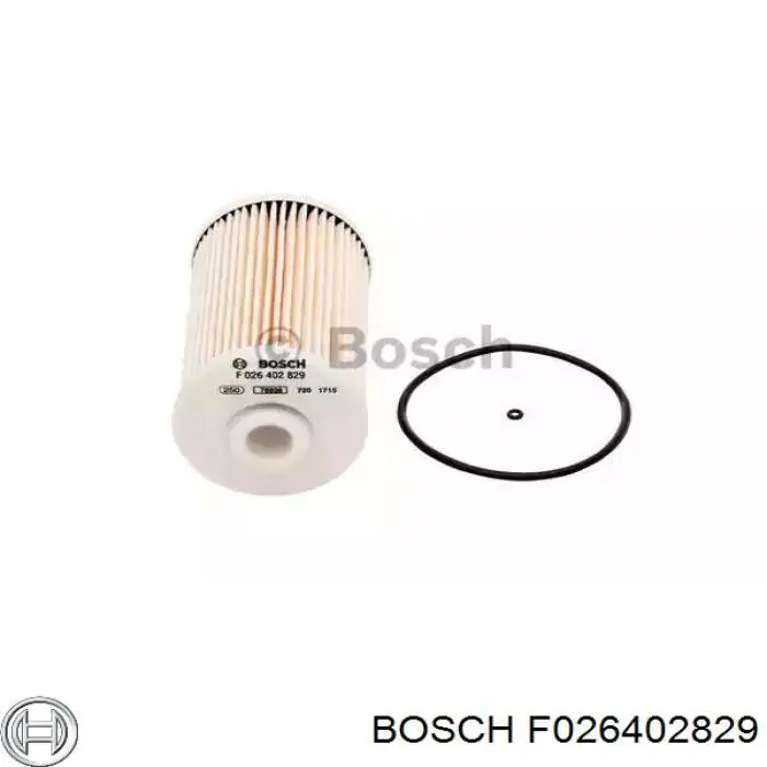 F026402829 Bosch filtro combustible