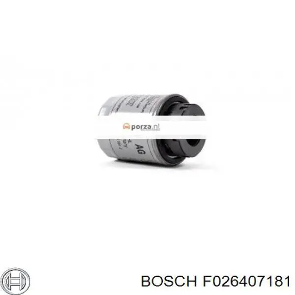 Filtro de aceite Bosch F026407181 precio, desde 9,01 EUR