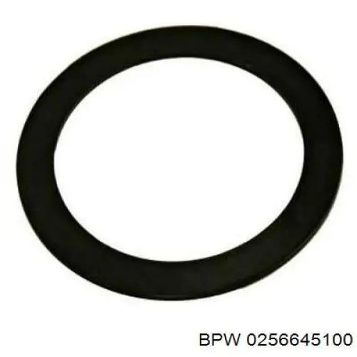 0256645100 BPW