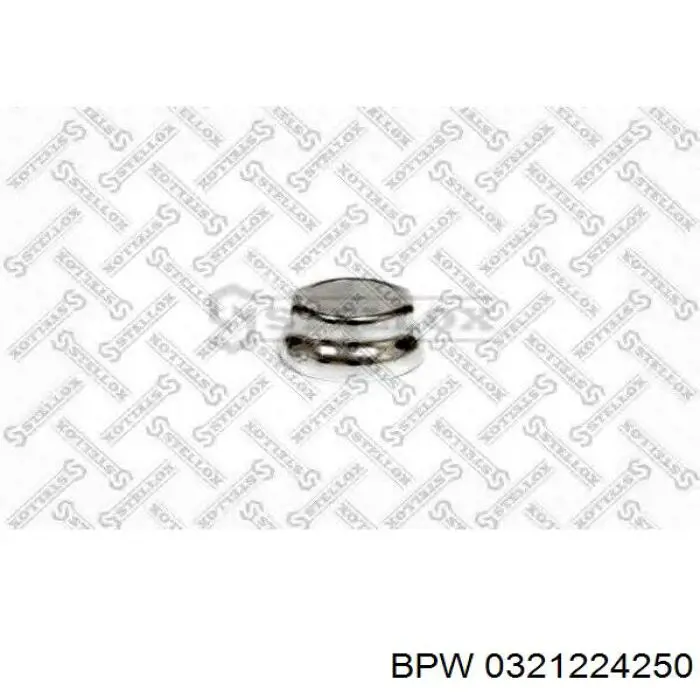 Tapa de cubo de rueda 0321224250 BPW