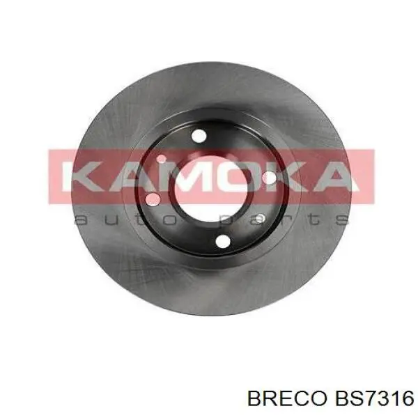 Frenos delanteros Peugeot/Citroen 169001 precio, desde 16,89 EUR