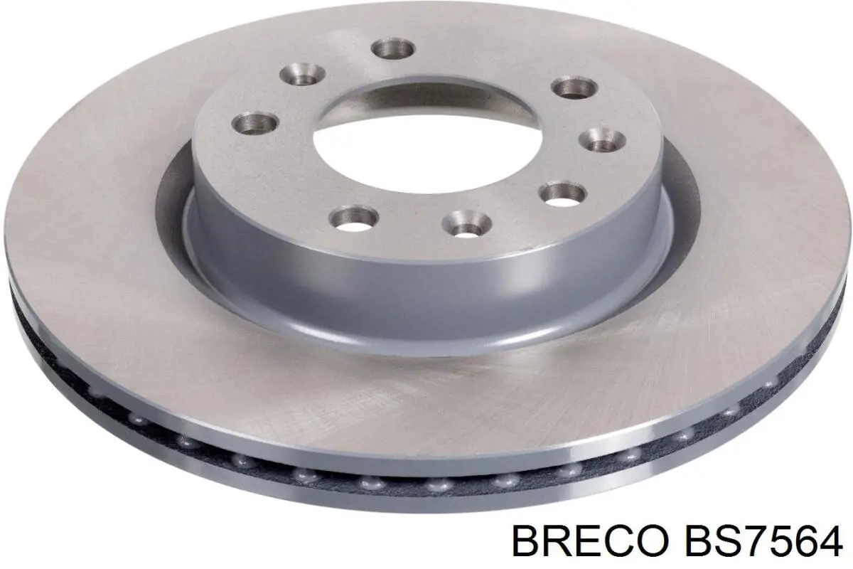 Disco de freno trasero BMW 5 E34