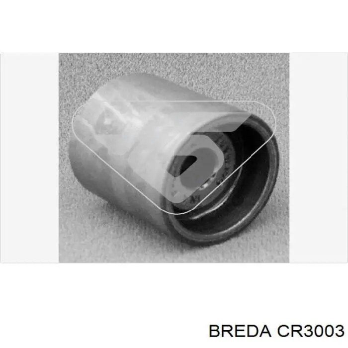 CR3003 Breda Polea tensora intermedio de correa dentada