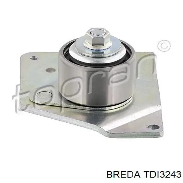 Tensor, correa dentada Renault Espace 4 JK0