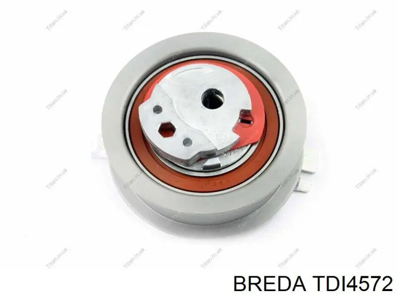 Rodillo, cadena de distribución Audi A6 4G2, 4GC