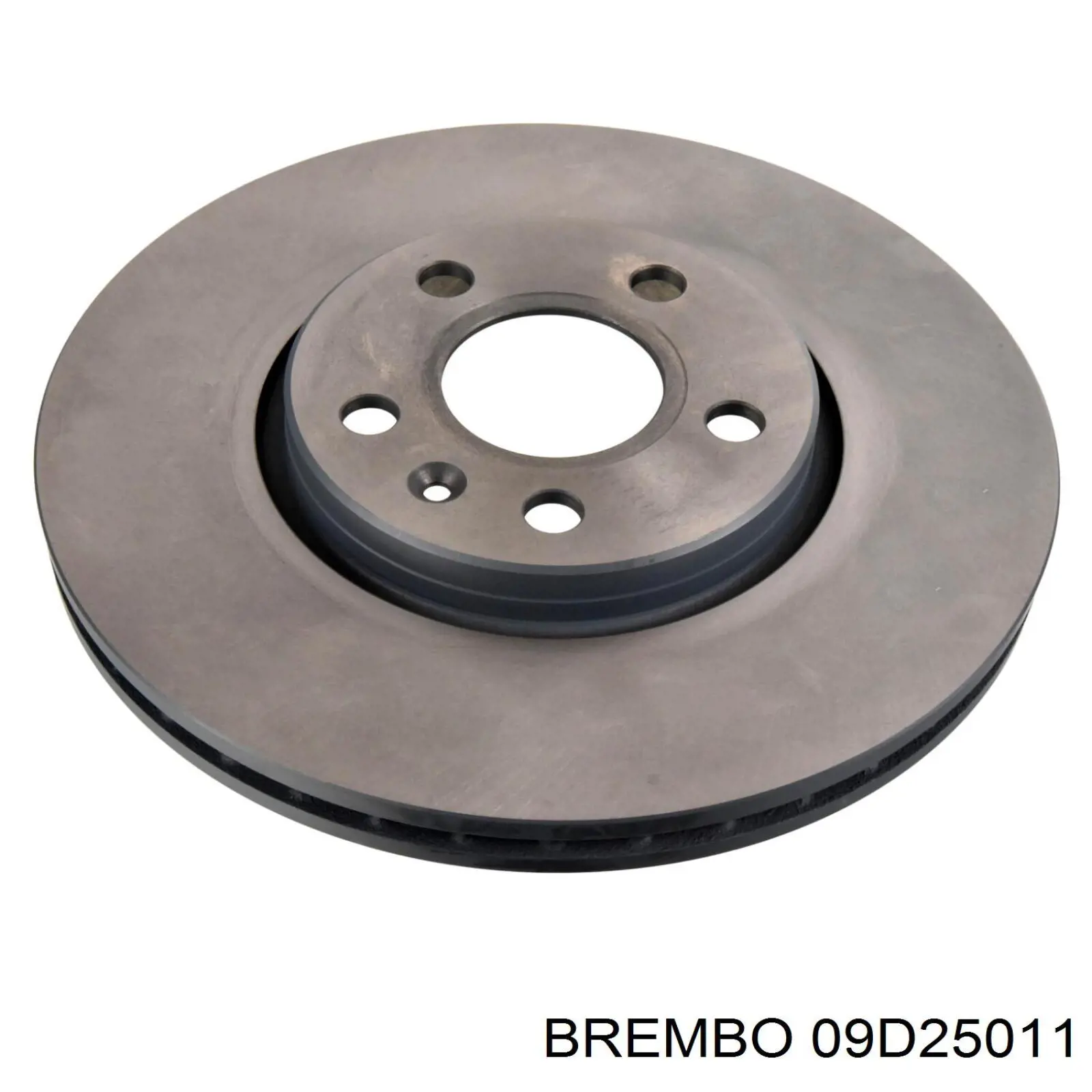 09.D250.11 Brembo freno de disco delantero