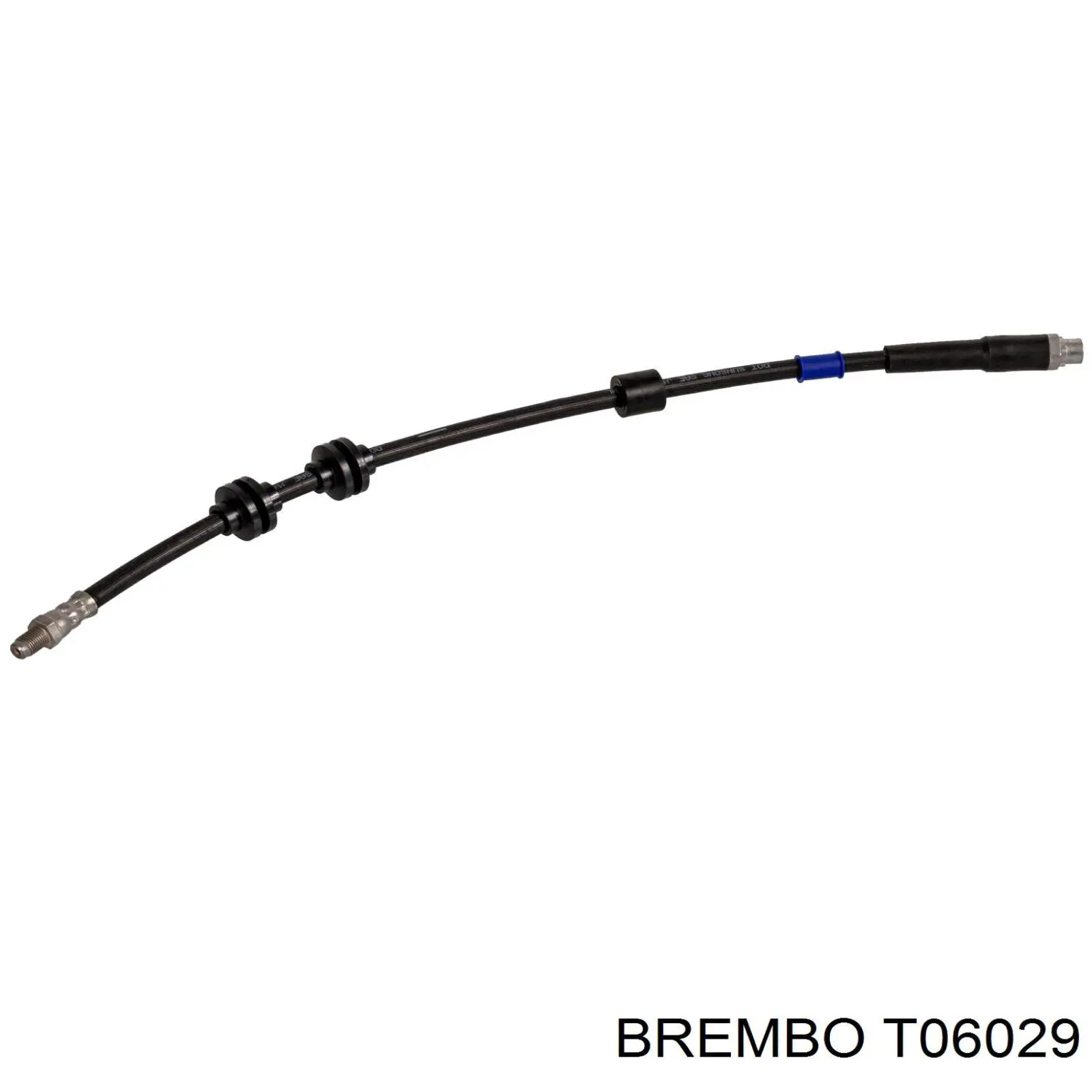 T06029 Brembo latiguillo de freno delantero