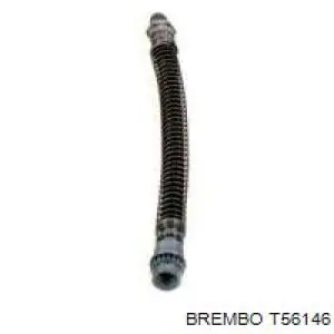 T56146 Brembo tubo flexible de frenos trasero