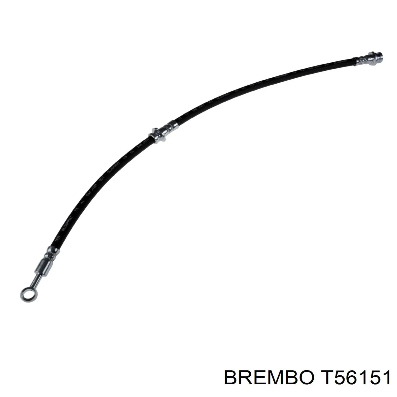 T56151 Brembo latiguillo de freno trasero izquierdo