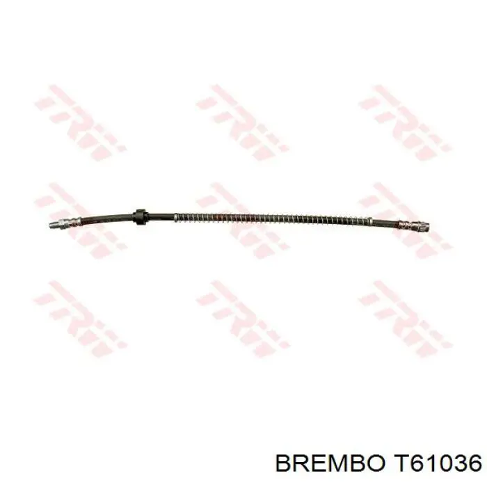 T61036 Brembo latiguillo de freno delantero