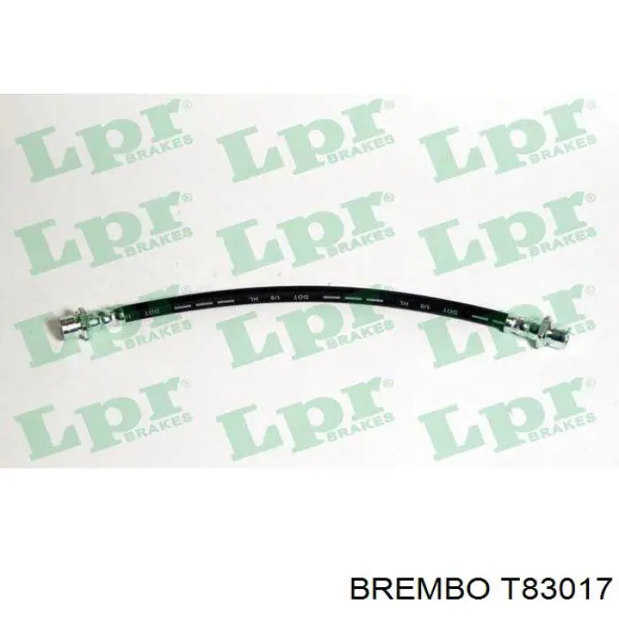 T83017 Brembo latiguillo de freno delantero