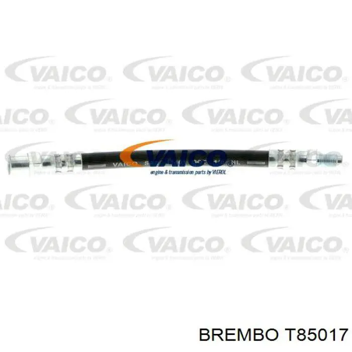 T85017 Brembo latiguillo de freno trasero