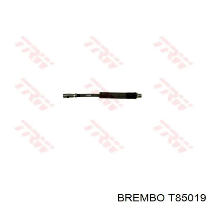 T85019 Brembo latiguillo de freno trasero izquierdo