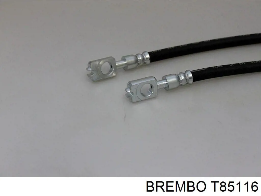 T85116 Brembo latiguillo de freno trasero
