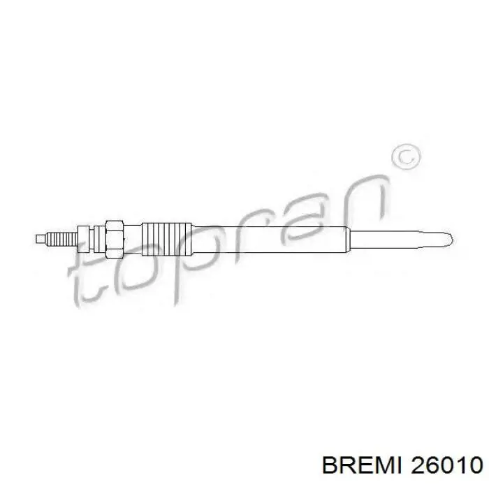 Bujía de incandescencia Peugeot 206 2A/C