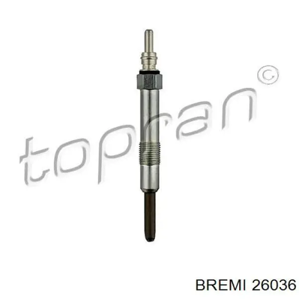 Bujía de incandescencia Fiat Punto 2 188