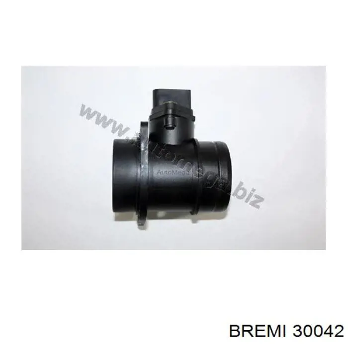 Caudalímetro 30042 Bremi