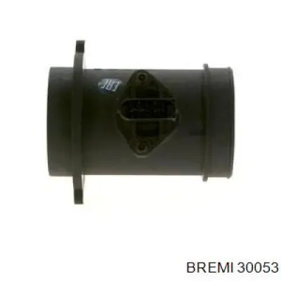 Caudalímetro 30053 Bremi