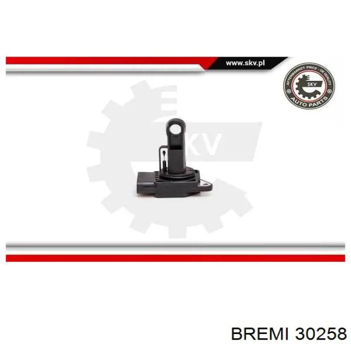 30258 Bremi caudalímetro